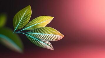 Vibrant green leaves with intricate veins against a soft gradient background, creating a serene atmosphere photo