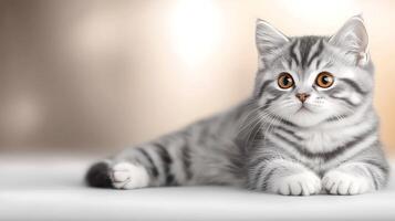 A playful silver tabby cat lounging on a soft surface, with a blurred warm background photo
