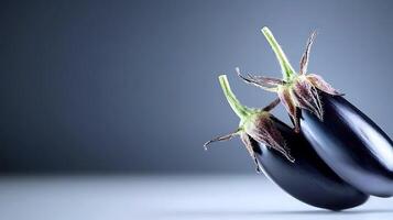 Two glossy eggplants resting on a smooth surface with a soft gradient background photo