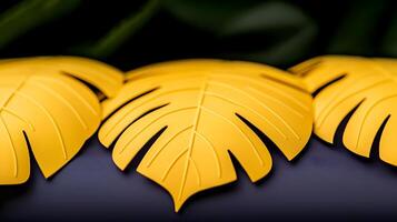Vibrant yellow tropical leaves arranged aesthetically on a dark surface with blurred greenery photo