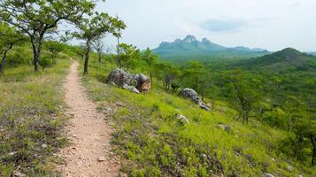 Scenic mountain landscape with a winding dirt path through lush greenery under a cloudy sky photo