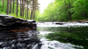 Serene river flowing through lush green forest with gentle ripples and smooth rocks in foreground photo