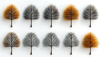 A collection of stylized trees showcasing seasonal changes in color and texture photo