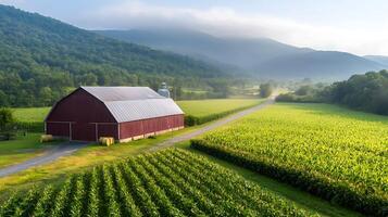 Scenic view of a red barn surrounded by lush green fields and distant mountains at sunrise photo