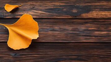 Yellow ginkgo leaves resting on a rustic wooden surface with water droplets in the background photo