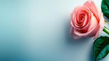 A delicate pink rose with lush green leaves against a soft blue background, symbolizing beauty photo