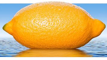 A vibrant lemon floating on a calm water surface with a serene blue sky in the background photo
