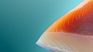 Close-up of a salmon fillet showcasing vibrant colors and textures against a soft gradient background photo