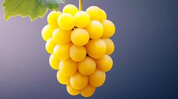Cluster of vibrant yellow grapes hanging against a soft gradient background photo