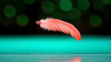 A delicate pink feather gracefully suspended above a reflective surface with a soft bokeh background photo
