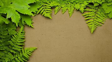 Lush Greenery Framing a Natural Background with Textured Earthy Tones for Design Use photo