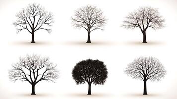 Six distinct tree silhouettes showcasing various shapes and sizes against a soft background photo
