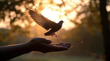 A person holding a bird in their hand with the sun setting behind them photo