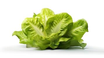 A green lettuce is shown on a white background photo