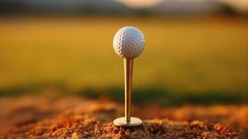 A golf ball on a tee in a field photo