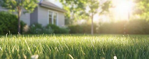 Lush green lawn illuminated by sunlight near a tranquil home. photo