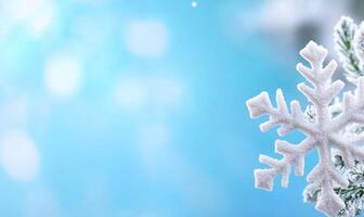 A snowflake is on top of a fir tree branch photo