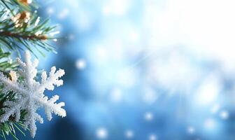 Christmas background with snowflake and fir branch photo