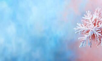 A snowflake is shown on a blue and pink background photo