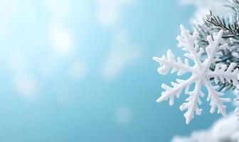 A snowflake is on top of a fir tree branch photo
