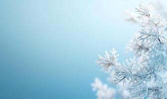 Frosty snow on a blue background photo