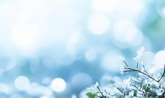 A serene winter scene featuring frosted branches and a soft blue background. photo