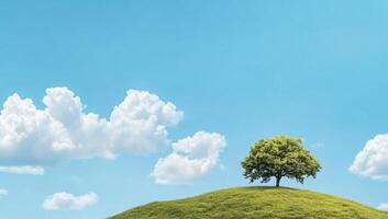 A solitary tree on a green hill under a clear blue sky with clouds. photo