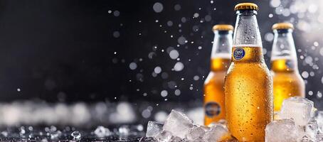 Three beer bottles with ice on a black background photo