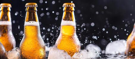 Beer bottles in the rain with ice photo