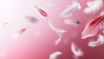 Soft pink feathers floating against a gradient background. photo