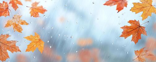 Autumn leaves falling in the rain with a blurred background. photo