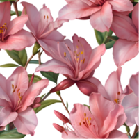 Elegant Azalea Flower Composition with Soft Hues. . png