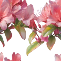 Isolated Azalea Flower Pattern with Stunning Detail. . png