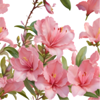 Delicate Azalea Blossom Print for Elegant Creations. . png
