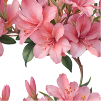 Decorative Azalea Flower Artwork for Projects. . png