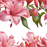 Soft Petals Azalea Flower Print for Designs. . png
