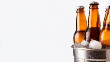 Beer bottles in a bucket with ice photo