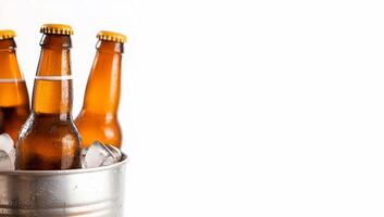 Beer bottles in a bucket with ice photo