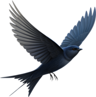 Charming Sparrow Bird Perched Gracefully With Soft Feathers. . png