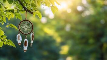 A dreamcatcher hanging from a tree branch, surrounded by soft greenery. photo