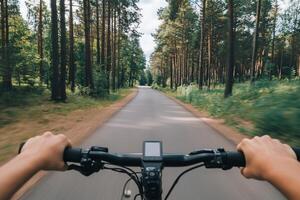 A cyclist's view along a tree-lined path in nature. photo