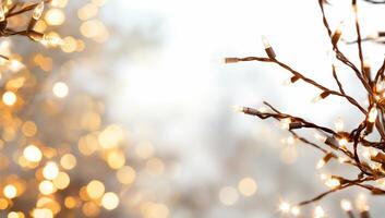 Softly glowing holiday lights against a blurred background. photo