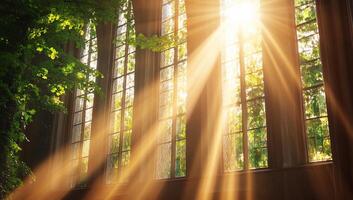 Sunlight streams through large windows, illuminating a green, serene space. photo