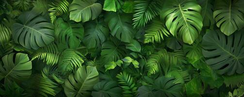 A lush arrangement of green leaves creating a vibrant, tropical backdrop. photo