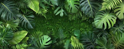 A vibrant arrangement of lush green leaves creating a natural backdrop. photo