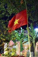 vietnamese national flag on a bamboo branch at night in Vietnam photo