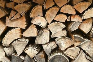 lots of chopped stacked wood as background photo
