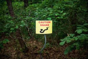 Sign caution snake in the forest photo