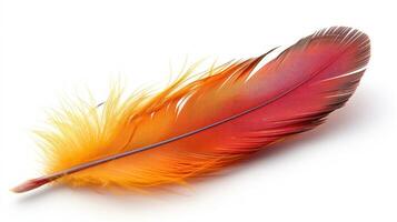 A red and orange feather on a white surface photo