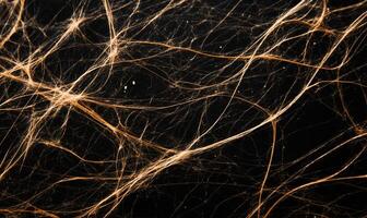 Intricate network of glowing threads against a dark background photo